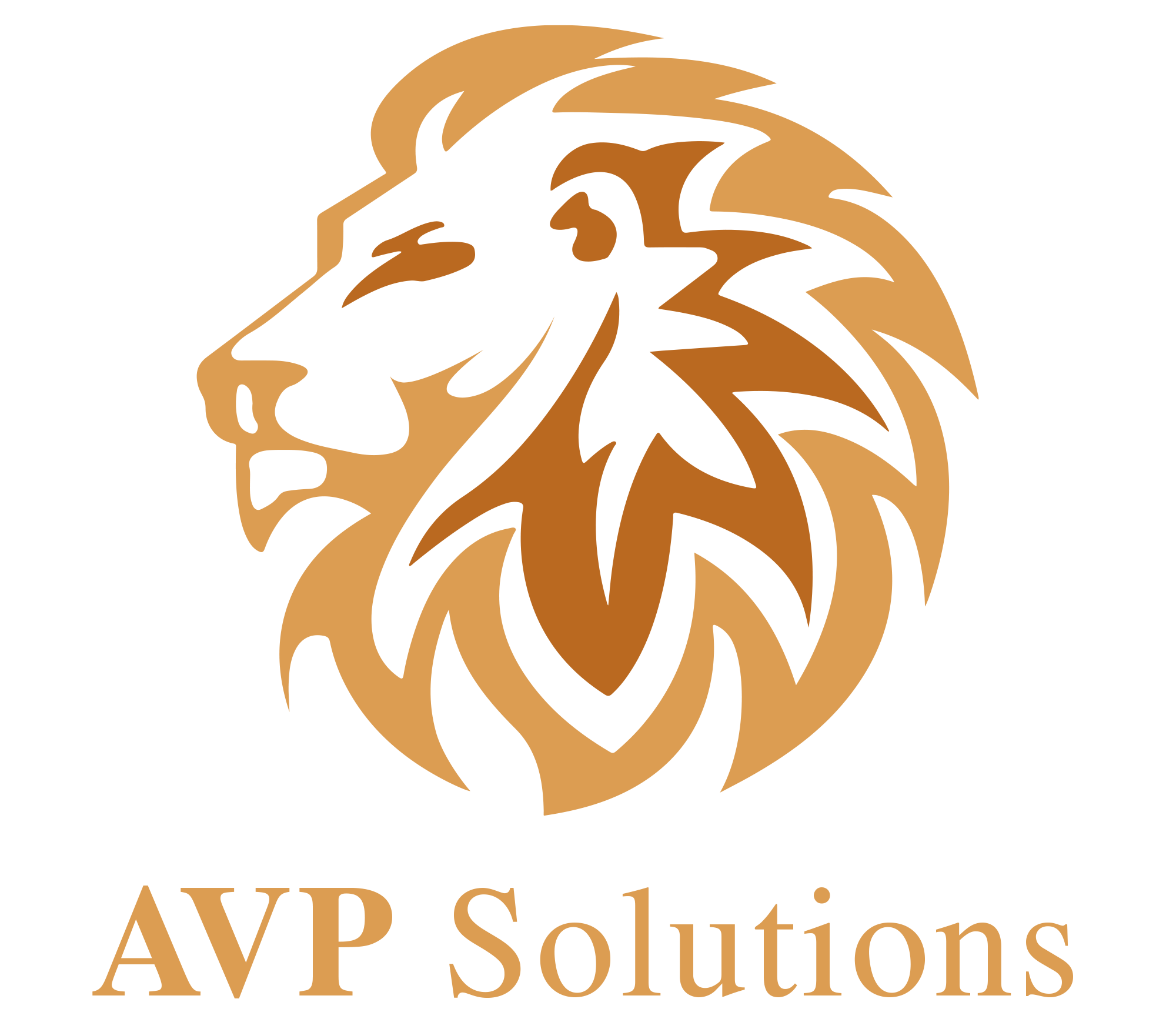 AVP-Solution